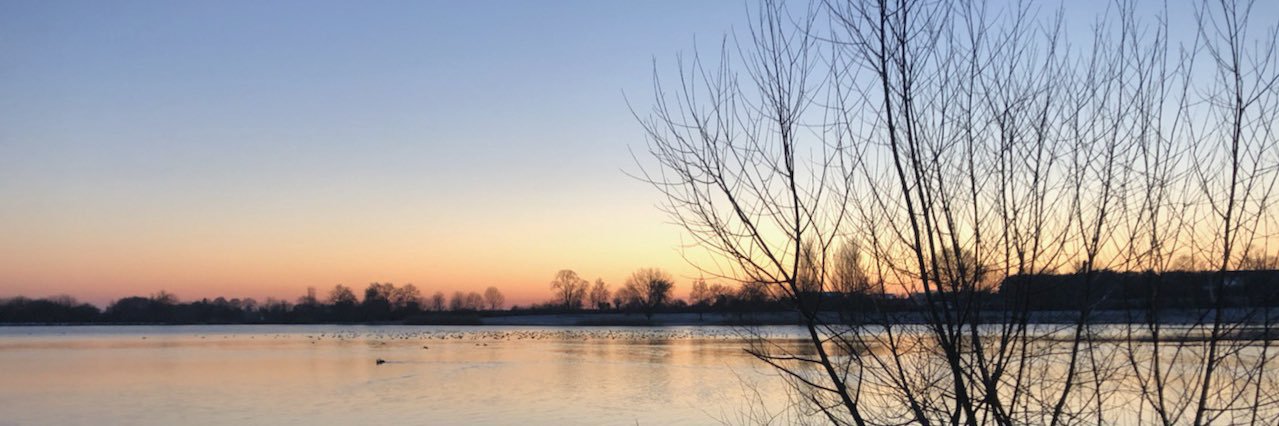 ddevalicourt's profile banner image