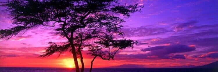 chelsearanaee's profile banner image