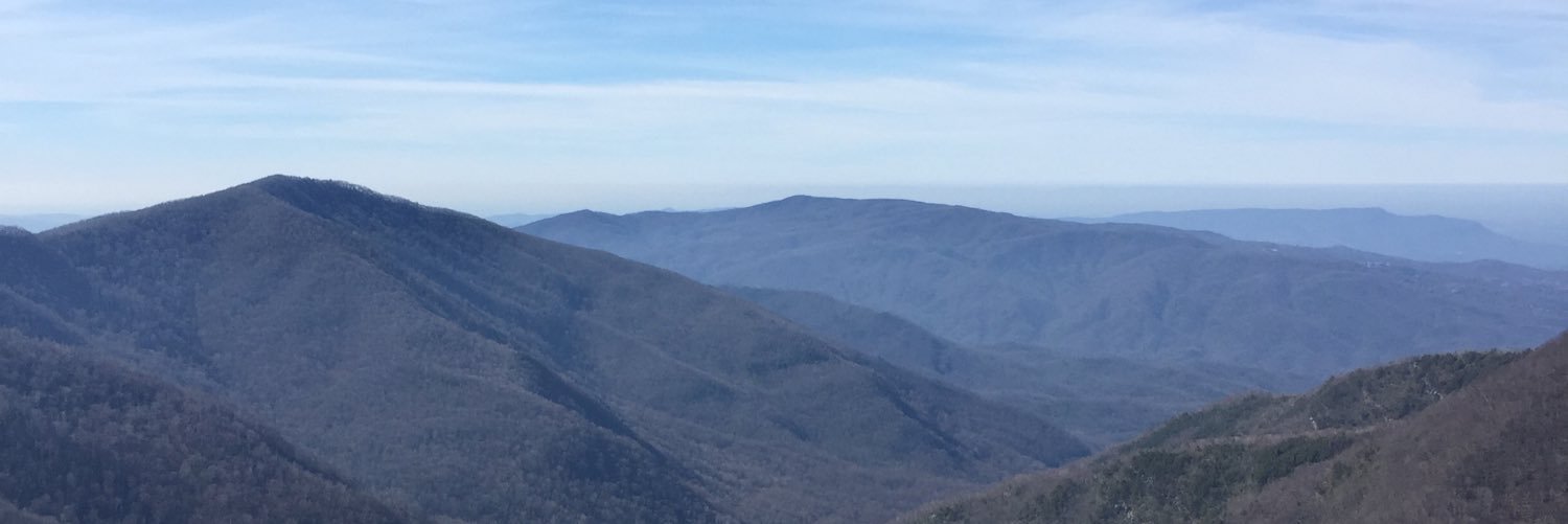 Allison_Guth's profile banner image