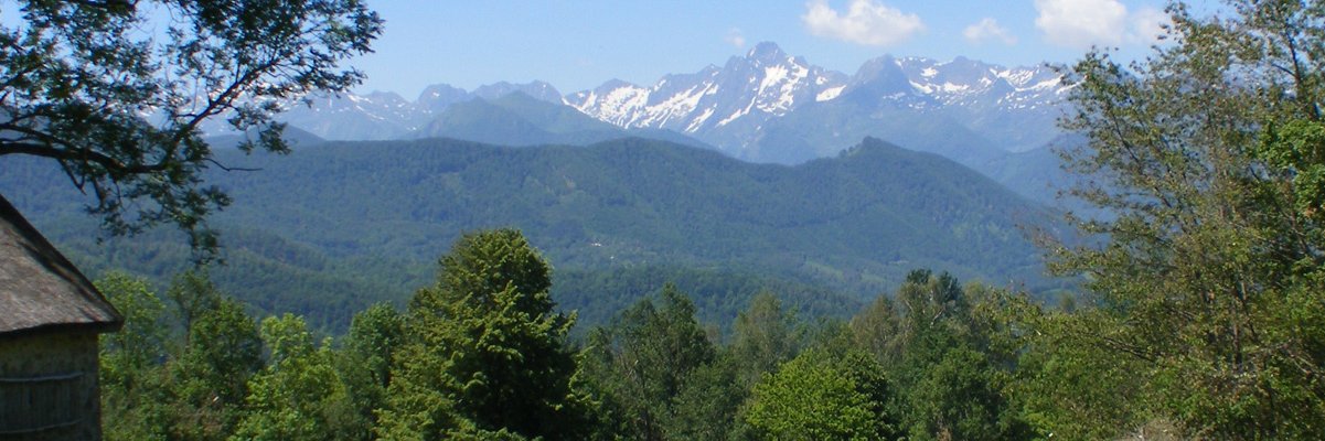 Jean-Marc EYCHENNE banner