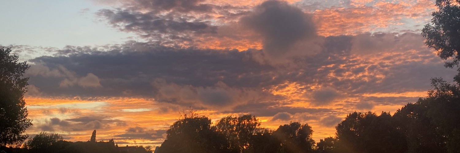 mightbesaisha's profile banner image