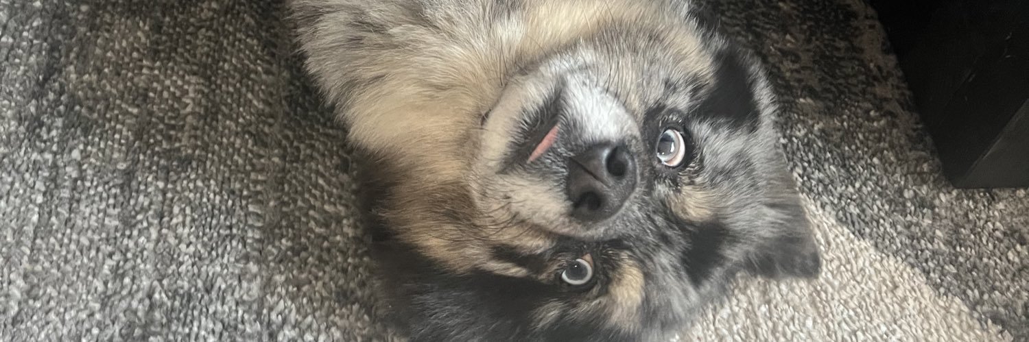 Gregory Deichmann banner