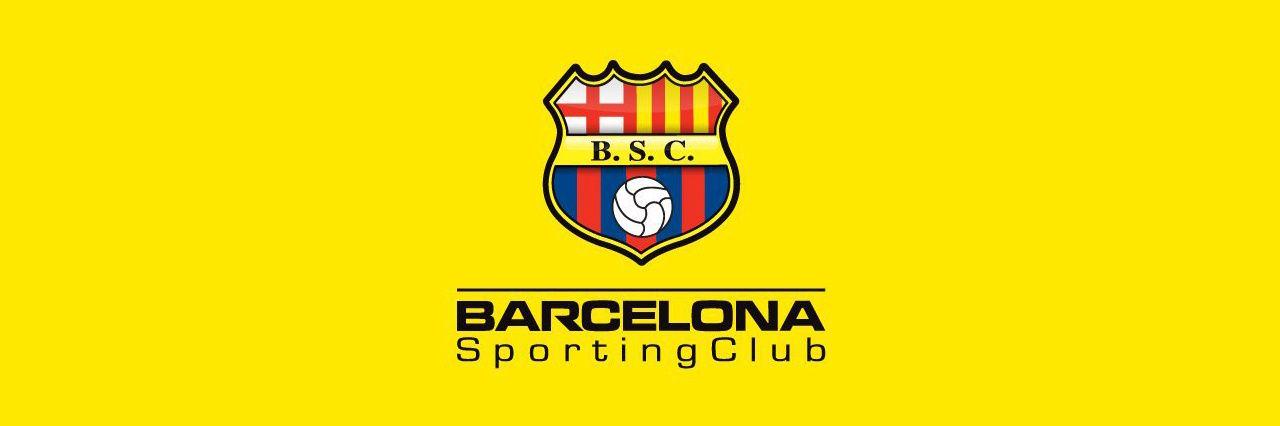csarbrgos's profile banner image