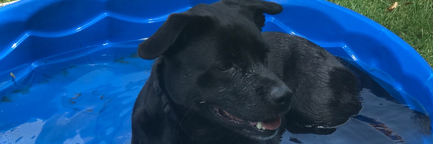 mulhernb's profile banner image