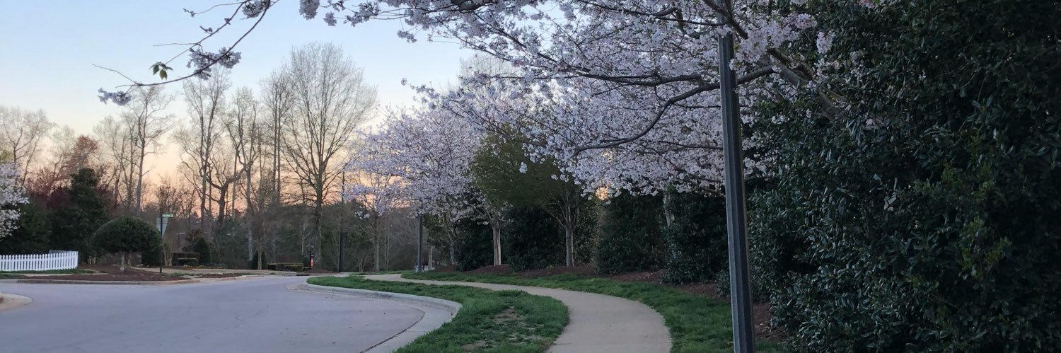 Nora_T_'s profile banner image