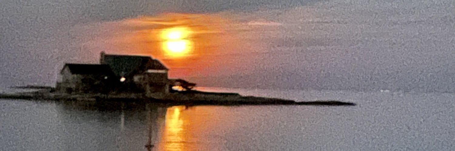 Catherine McNicol Stock banner