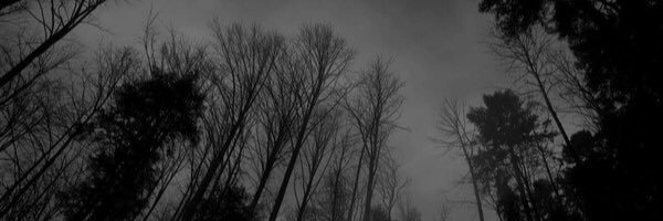 Rubiusquad's profile banner image