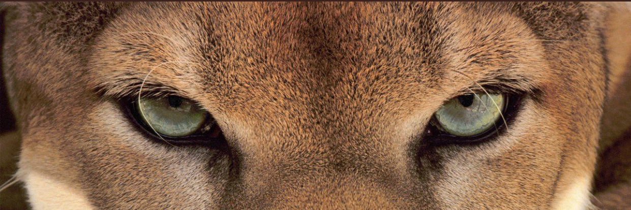 fuldenaba's profile banner image