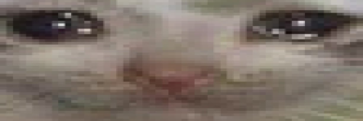 CreatekDota's profile banner image