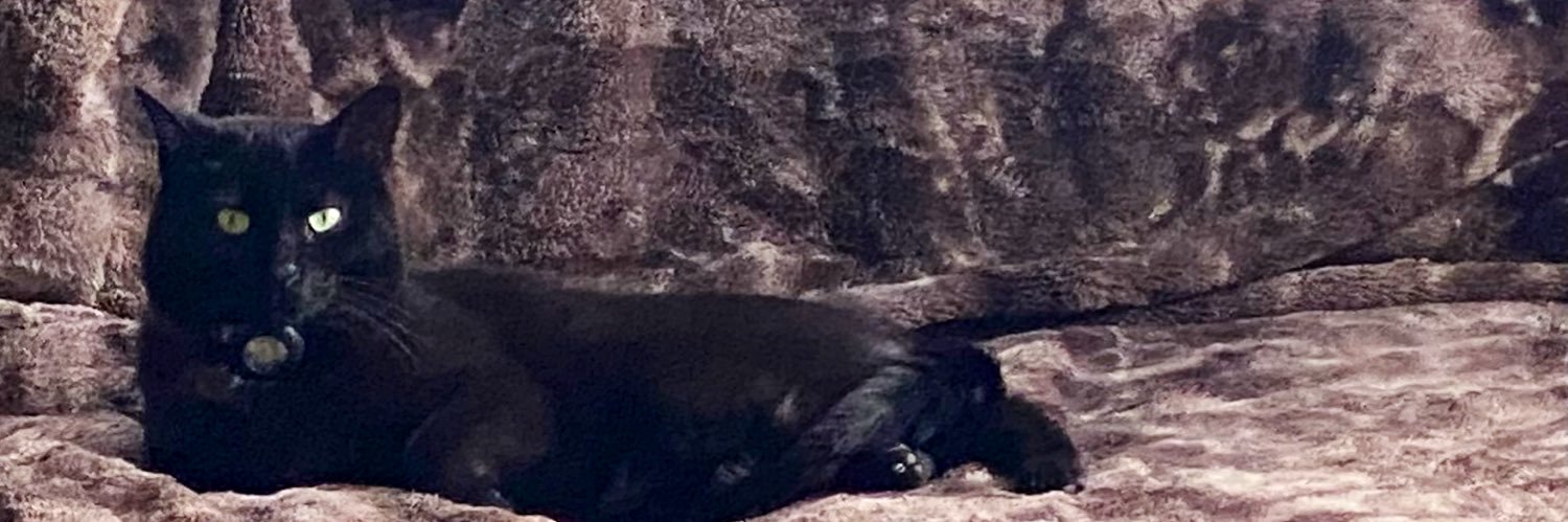 TraceGoodwin's profile banner image