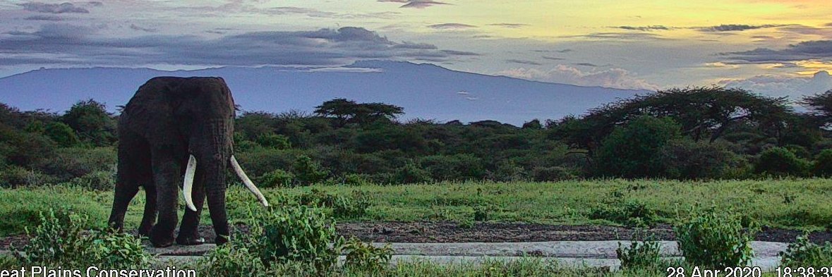 hpazz's profile banner image