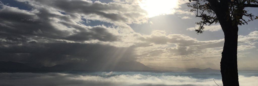 MarcoAntinelli's profile banner image
