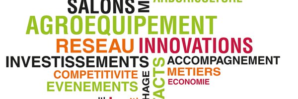 RegulskiCynthia Profile Banner