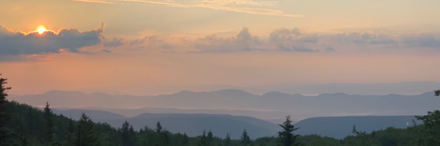 lilsnuff11's profile banner image