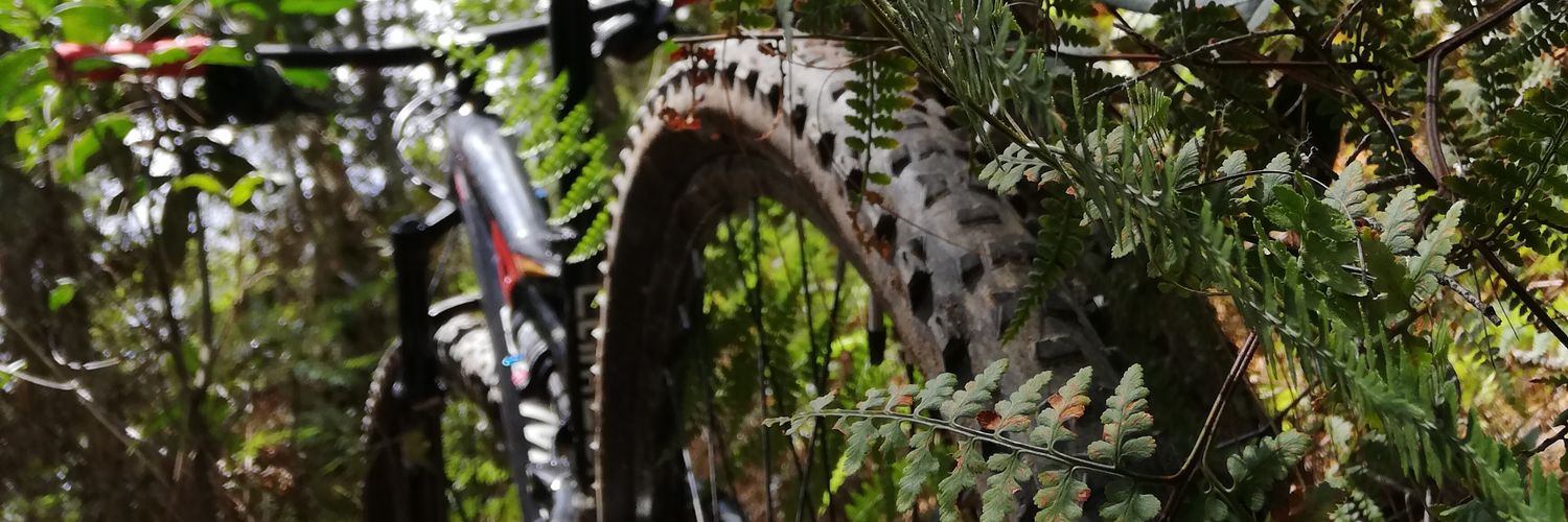 camatofe's profile banner image