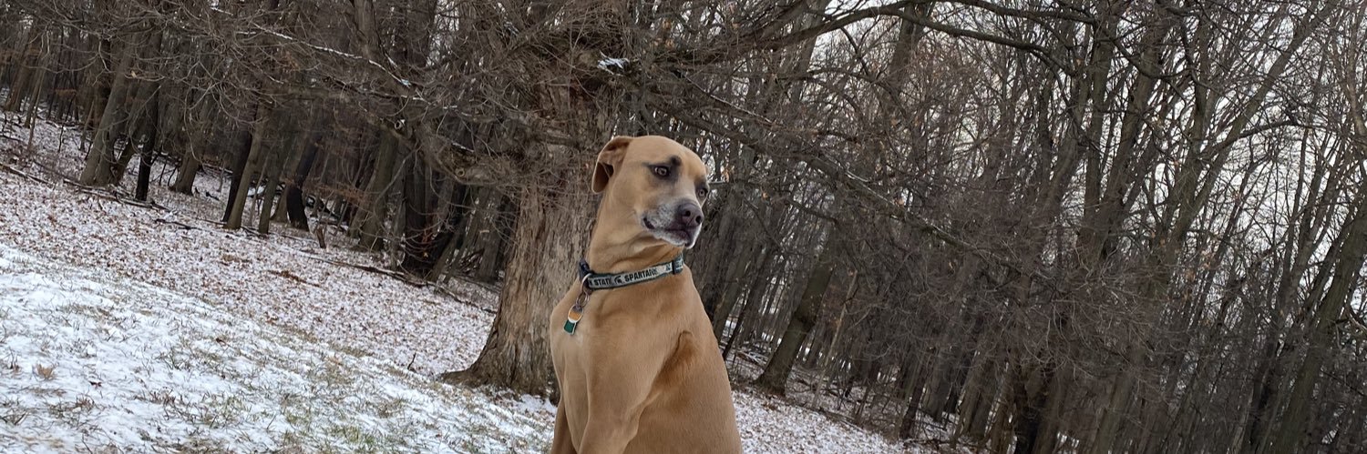 KenzieHogle's profile banner image