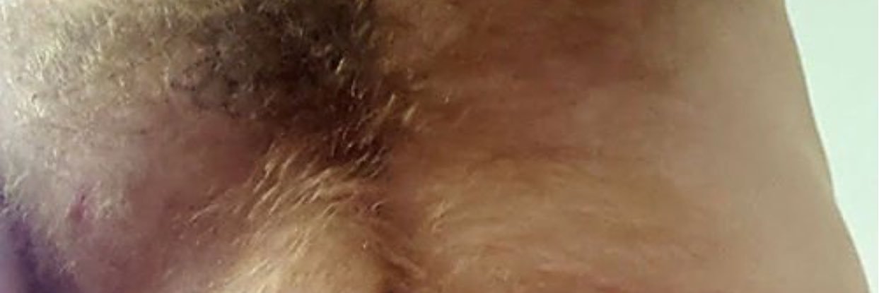 Mick_AZ's profile banner image