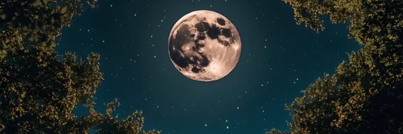 yoksaay's profile banner image
