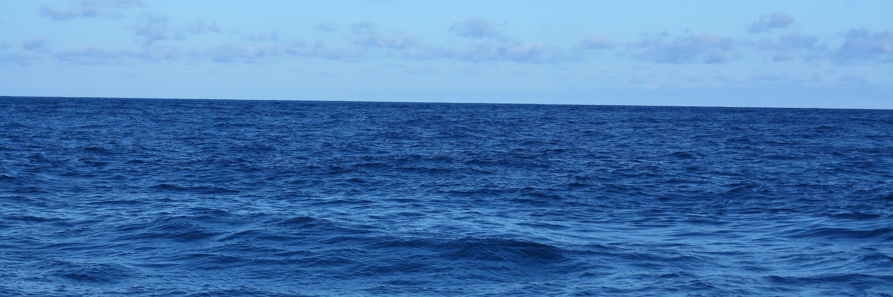 fillewellyn's profile banner image