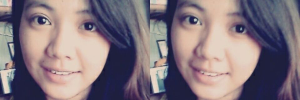 LapinidSean's profile banner image