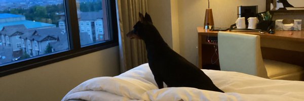 KimUnruh Profile Banner