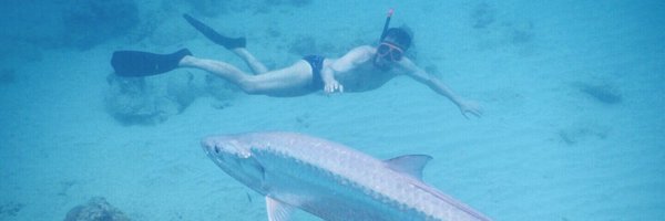 MFischetti Profile Banner