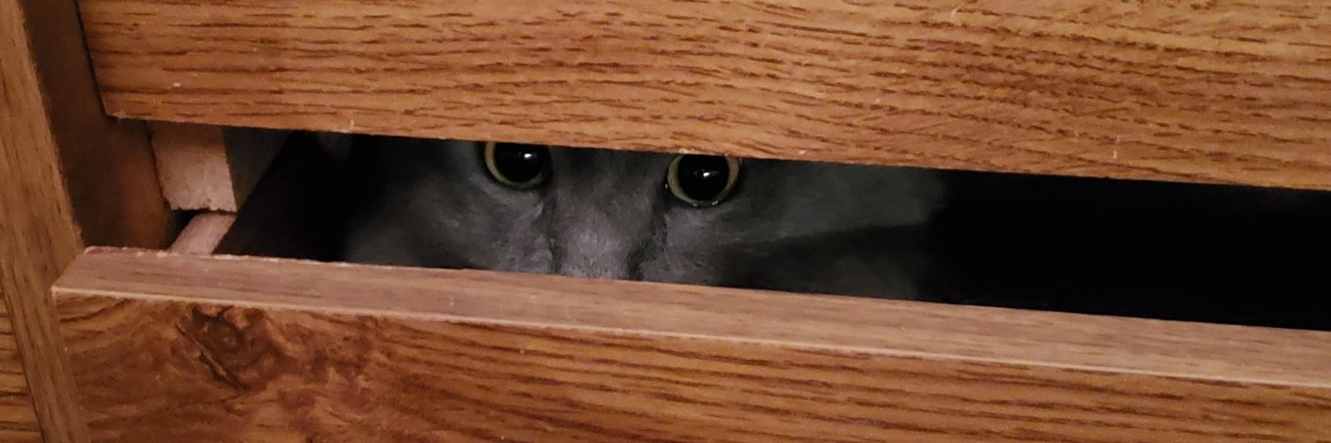 👻Spooky👽Skelton💀Enjoyer banner