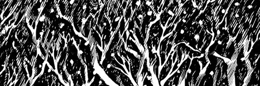 fluffhead96's profile banner image