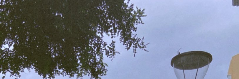 mannndyj's profile banner image