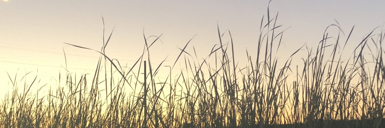 Kelsey Brianna✨ banner