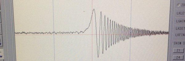 nekokasiya Profile Banner