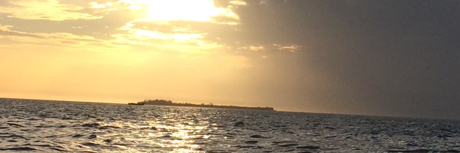 stacilea13's profile banner image