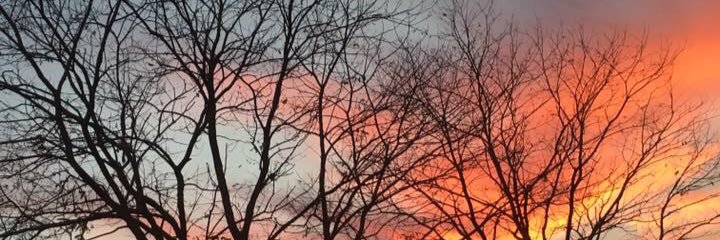 kcelmoree_96's profile banner image