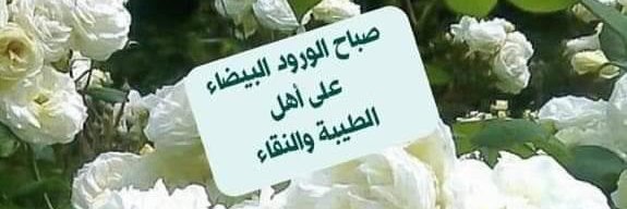 islammohamed44's profile banner image