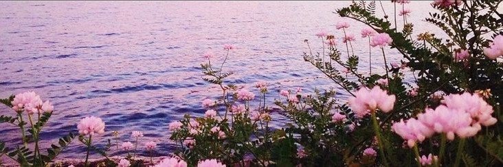 SHlliul's profile banner image