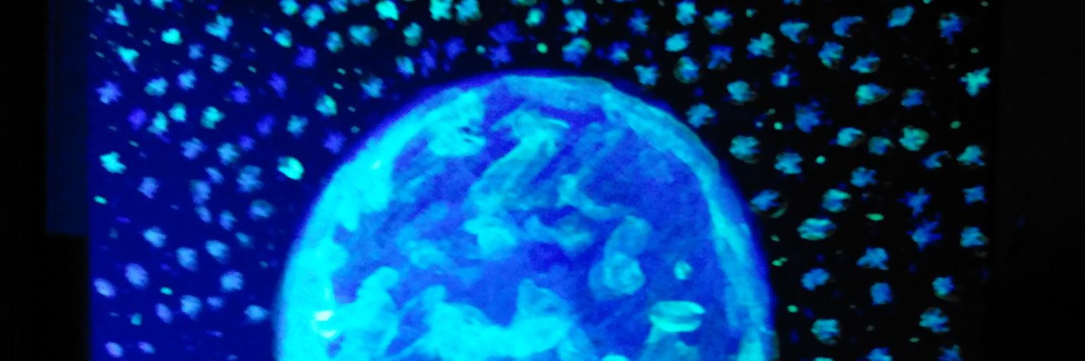 vivaciouslybree's profile banner image