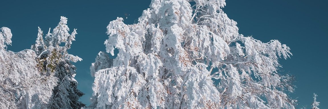 roshanbadragh's profile banner image