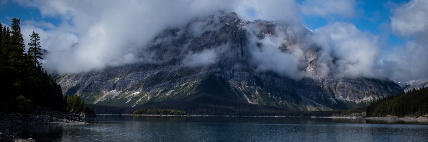 SystematicBias's profile banner image