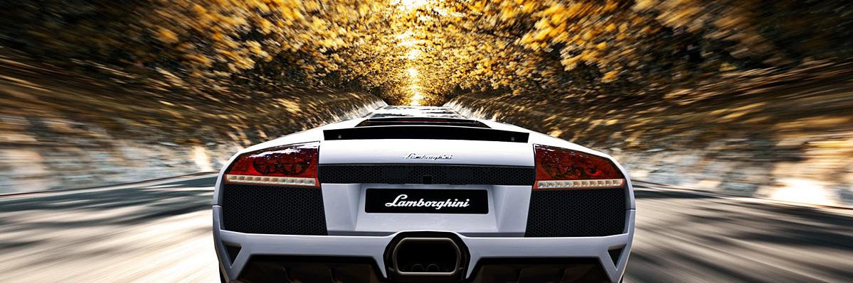 fjfv79's profile banner image