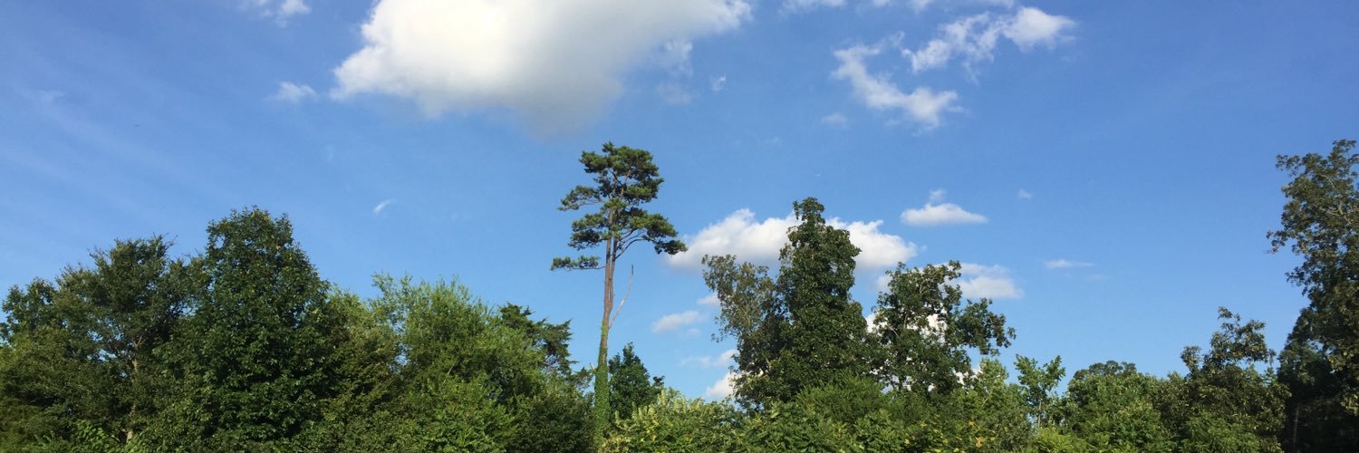 hoopstarch's profile banner image