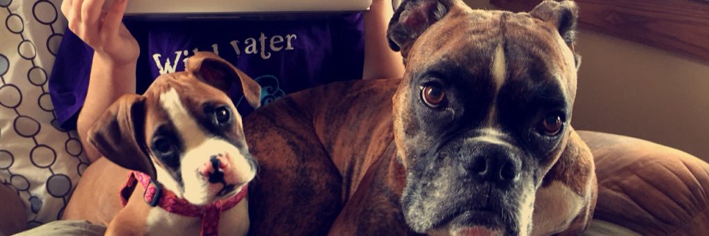 abby_taylor25's profile banner image