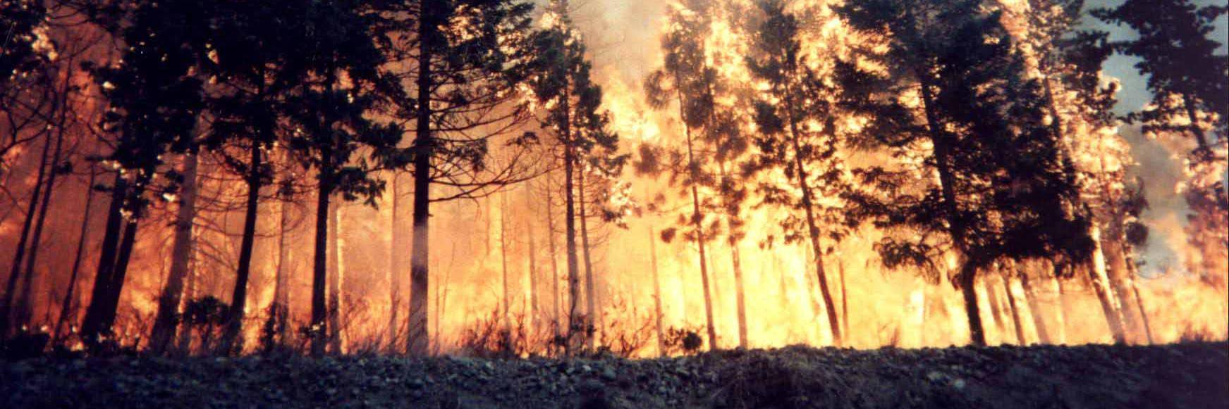 wildlandfirecom's profile banner image