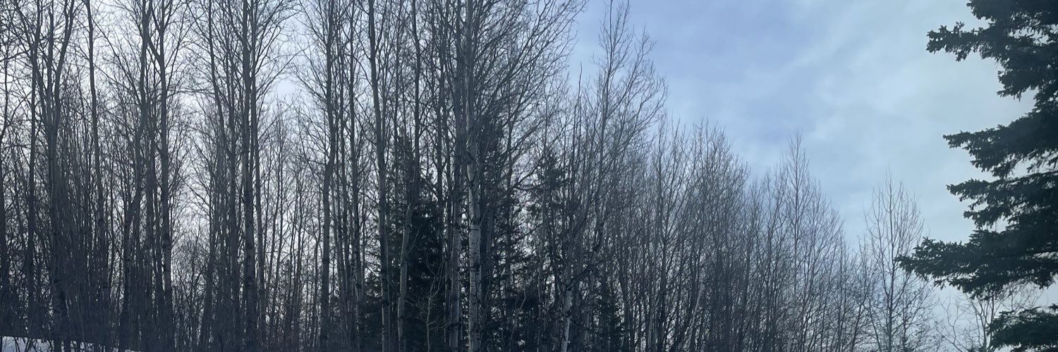 flightemdoc's profile banner image