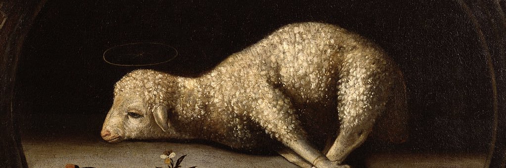 miamor ᥫ᭡ banner