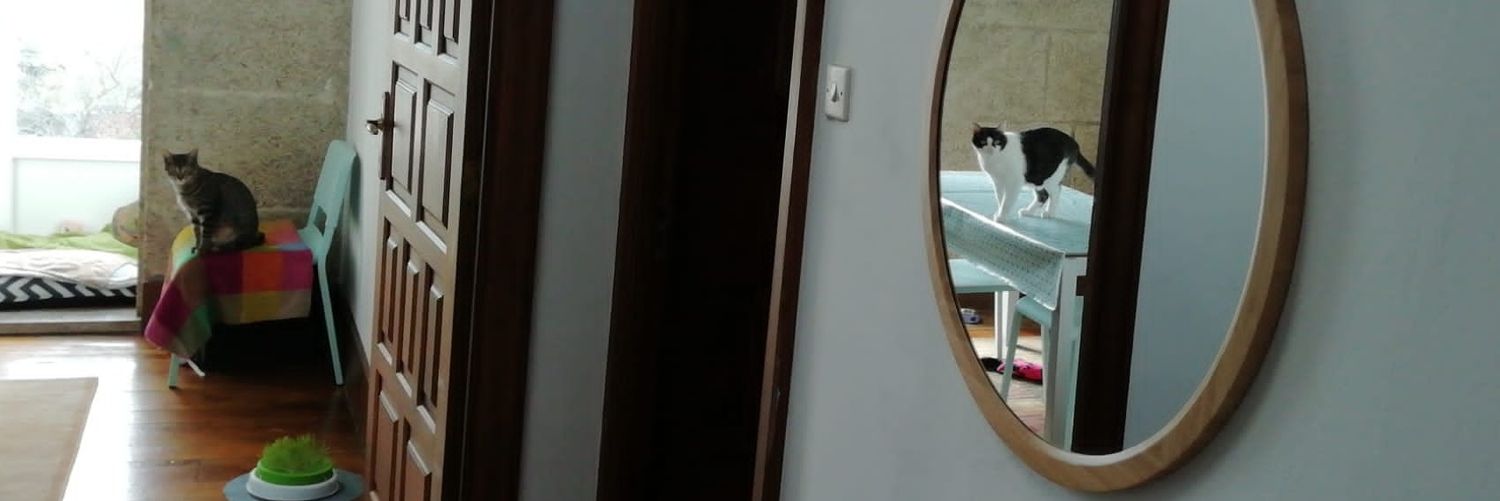 Fraanders's profile banner image