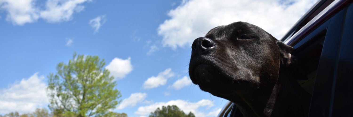 abowers6's profile banner image