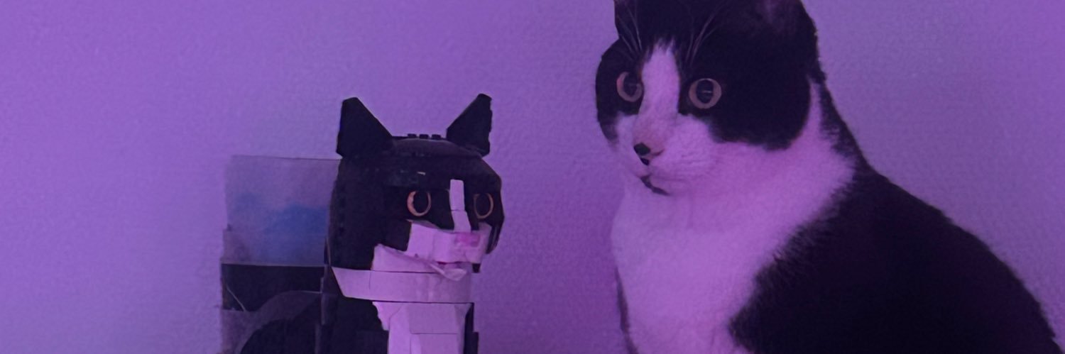 SOLY banner