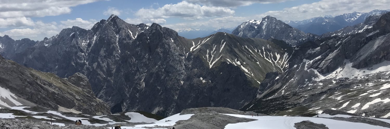 Purpose Maximalist banner