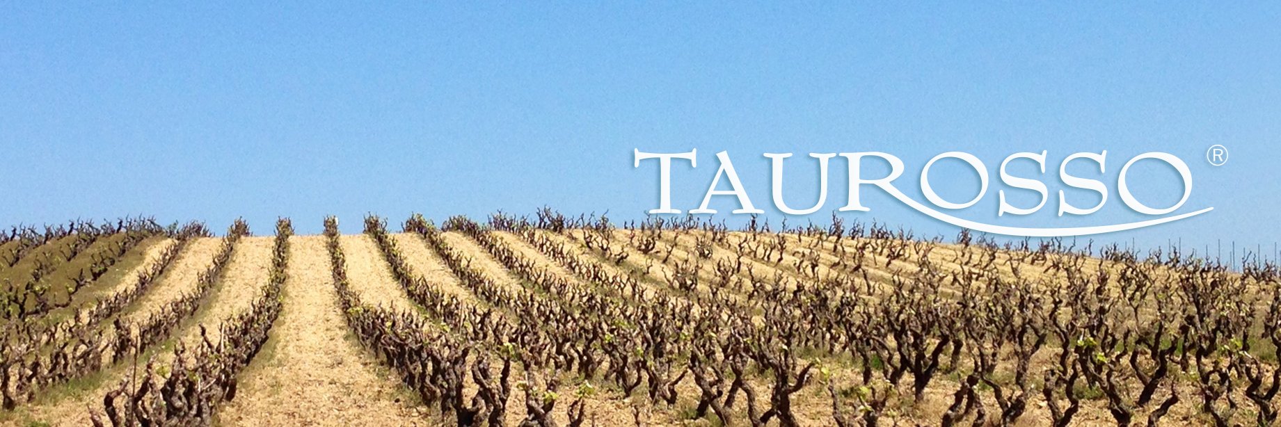 taurosso's profile banner image