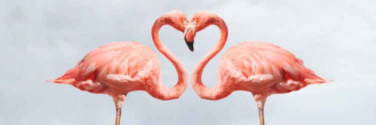PatsySandy's profile banner image